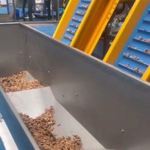 Best AI-powered Multi-Grade Walnut Kernel Sorting Machine with 8 lanes and 12 Outlets Stainless Steel wholesale
