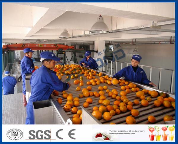 Cheap Fruit Juice Processing Equipment With Citrus / Tangerines / Orange Juice Extractor Machine for sale