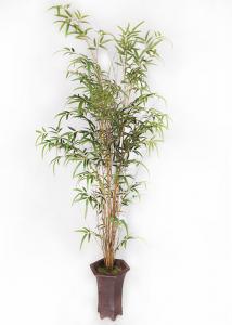 Best Bamboo Realistic Fake Plants Real Trunk For Home Design Color Change Leaves wholesale