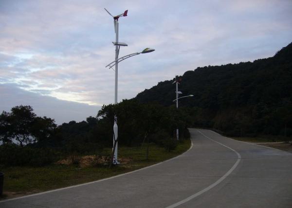 Cheap Over speed Control System Home Wind Generator Patented Blades Electrical Generating HAWT for sale
