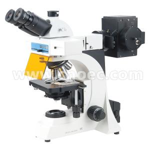 Best Trinocular Compensation Free Fluorescence Microscope Learning A16.0902 wholesale