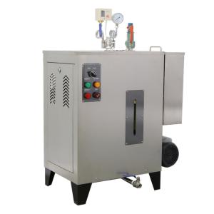 China Food Laundering Steam Generator Boilers 24kw Heating Stainless Steel Housing on sale