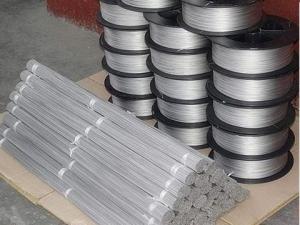 Best Soft GR1 Titanium Coil Wire Mesh For Weaving Mesh Sheet Using wholesale