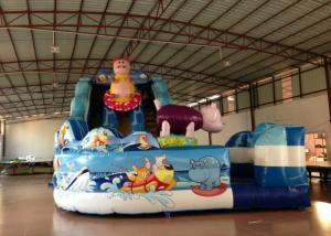 Best Amusement Park Custom Made Inflatables Slide High Slide Colorful 6 X 9 X 6m wholesale