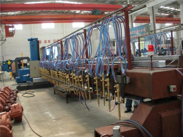 Cheap Steel CNC Flame Cutting Machine 9 Groups Strip Torch Ra12.5-25 for sale