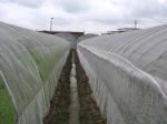 Smart Industrial Netting Systems Overhead Crop Netting ISO9001 Approved