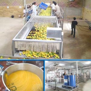 China 380V Automatic Mango Juice Processing Machine Industrial Fruit Juice Making Machine on sale