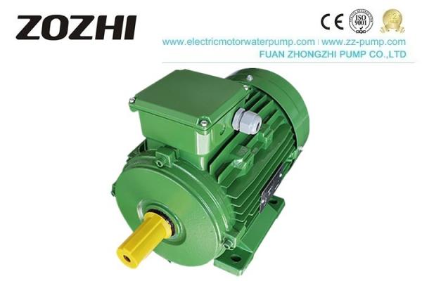 Cheap 2 Pole Three Phase Induction Motors , Asynchronous Electric Motor IE1 IE2 Efficiency for sale