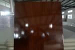 Mouldproof Plastic Interior Replacement Door Panel No Aspiration With Wooden