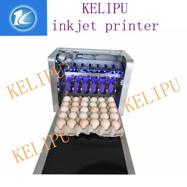 Cheap Egg Inkjet Coding Equipment / Continuous Ink System Printer With Six 45ML Ink for sale