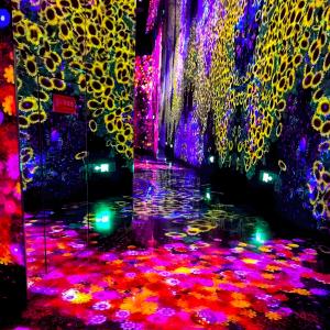 Best Multiple Channels Immersive Room Projector Immersive Wall Interactive Projection wholesale