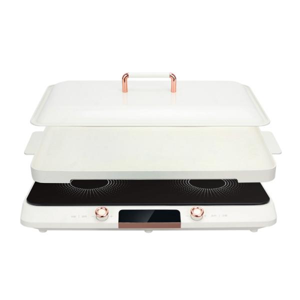 Cheap Intense Fire Function Electric Induction Cooker with Touch Buttons and NO App-Controlled for sale