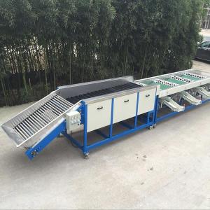 China 6.5kw Apple Dates Lemon Mango Fruit Grading Machine on sale