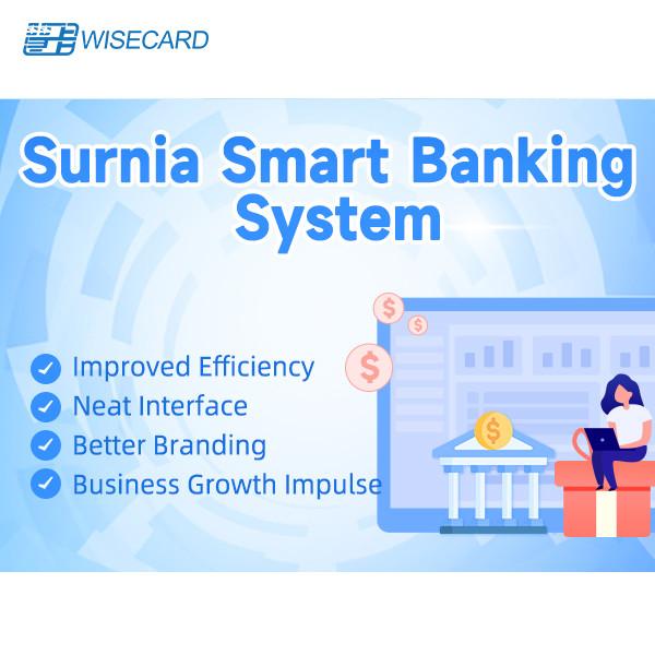 Cheap Wisecard Smartbanking Web Based Structure For Secure Online Banking Transactions for sale