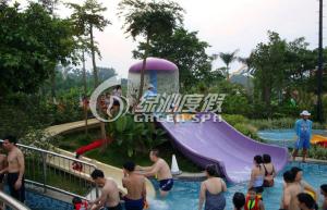 Best Playground Swimming Pool Water Slide Multi Color Eco-friendly wholesale