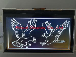 Best Custom 192X64 Resolution Positive Graphic Transflective Custom LCD Display in Stock wholesale