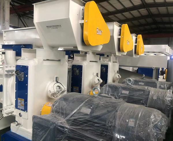 Cheap 5t/h 8mm Biomass Wood Pellet Machine Maker for Pellet Stove for sale