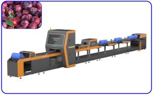 Best High Speed Plum Automatic Sorting Machine 1 Channel Intelligent wholesale