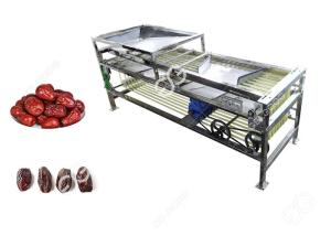 Best Multifunction Automatic Dates Sorting And Grading Machine With 2000kg/h Dates Process Machinery wholesale