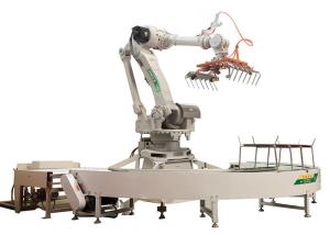 Best 4 Axis 6 Axis Robot Production Line For Automobile Industry Customized Fixture Size wholesale