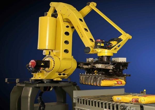 Cheap Case Cans Automatic Palletizer Machine , Simple Robotic Palletizing Systems for sale
