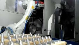 Compact Precision Robot Polishing High Speed Polishing Robotic Arm User Friendly