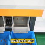 Precision Elevating Date Quality Assurance With Advanced Dates Sorting Machine