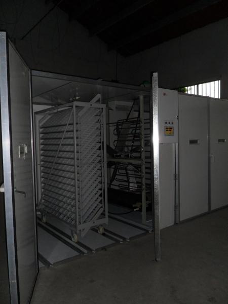 Cheap Commercial Single Stage Incubator Setter Machine For Eggs 18000 for sale