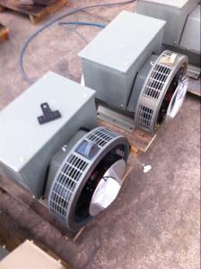 China USA Essex Copper Wire 6.5Kw Brushless Alternator For Perkins Generator Set on sale