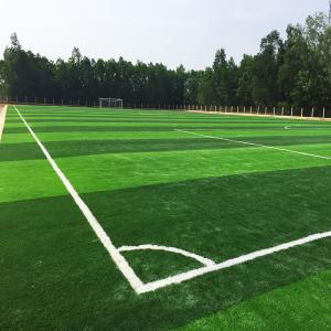 Best Synthetic Artificial Football Field Fake Grass PE PP Material For Soccer Field wholesale