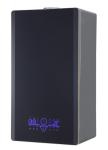 Wall Hung Gas Boiler with Programmable Controls and Variable Power Output