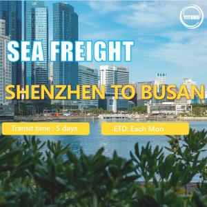 Best International Sea Freight from Shenzhen to Busan South Korea wholesale