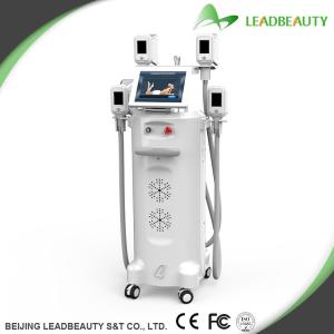 Best Safty designed slimming equipment cryolipolysis body slimming machine wholesale