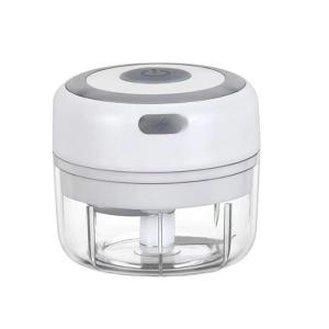 China Mini Electric Chopper 250ML Home Garlic Press Chopper Portable Food Chopper on sale