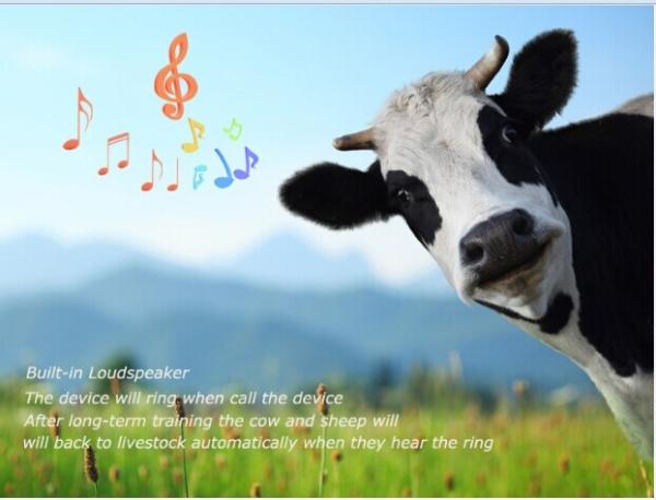 Cheap Mini solar gps tracker waterproof suitable for cattle tracking reachfar rf-v26 for sale