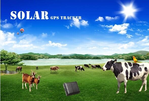 Cheap Solar GPS tracker for animal/anti-remove alarm & sos alarm with google map SMS alert for sale