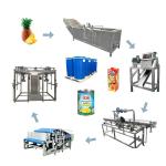 Juice And Puree Processing Machine For Pineapple Processing Line