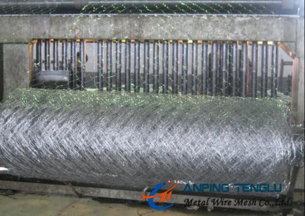Cheap Stainless Steel Hexagonal Wire Mesh/ Hexagonal Wire Netting, With High Strength for sale