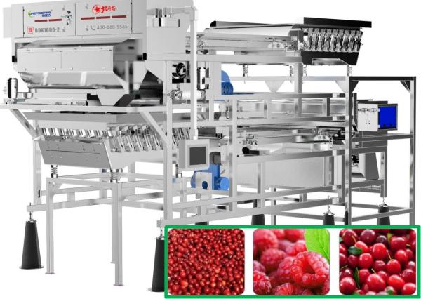 Cheap Raspberry / Cranberry / Coffee Cherry Sorting Machine Lower Damage for sale