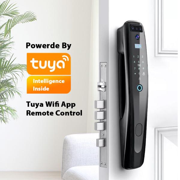 Cheap Tuya Smart Fingerprint Smart Lock Face Recognition Door Lock With Wifi for sale