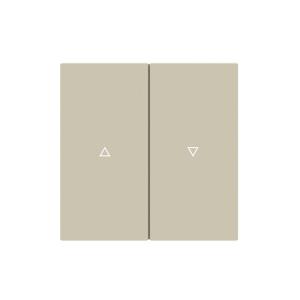 Smart Curtain Control Switch Plastic Material 250V AC 10A