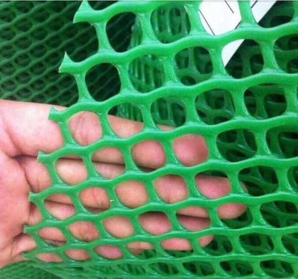Cheap extruded plastic net mesh/extruded polypropylene mesh for sale