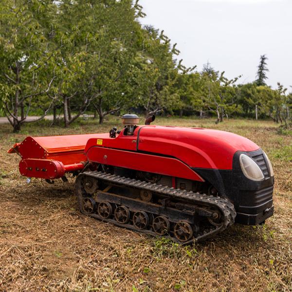 Cheap 32HP 4WD Gear Drive Farm Tractor Compact Orchard Crawler Mini Tractor CE Certified for sale