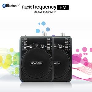 China NEWGOOD Bluetooth Voice Amplifier Speaker with Wireless Headset Microphone FM Radio MP3 Player Recorder on sale