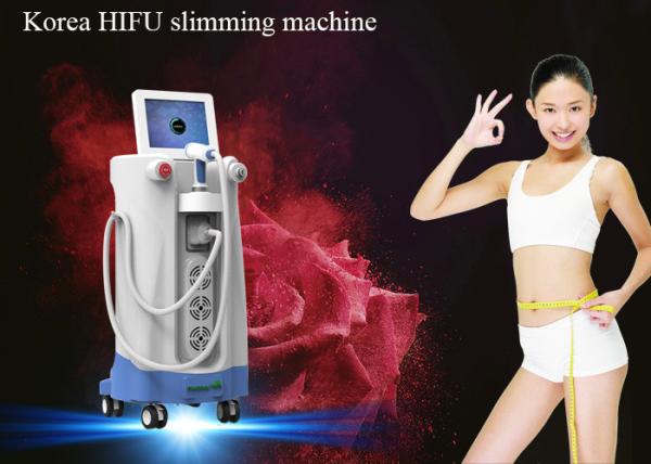 Cheap 250khz korea hifu beauty / slimming machine / 500W Body Sculpture Equipment HIFU For Female Salon for sale