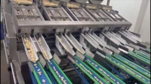 Best 8-Lane Intelligent Cashew Grading Machine with AI Sorting and Custom Design Capability AC220V ±5% Power Supply wholesale