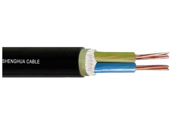 Cheap Low voltage 0.6/1kV XLPE Insulated  Power cable IEC standard Two Cores for sale