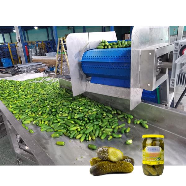 Cheap Full Set Canned Pickled Cucumber Production Line Canned Cucumber Processing Line for sale