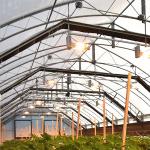 100% Shading System Automatic System Polycarbonate Single Span Light Dep