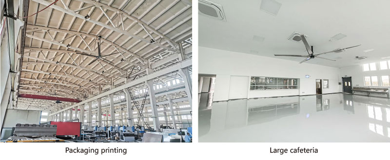 Large Industrial Ceiling Fans